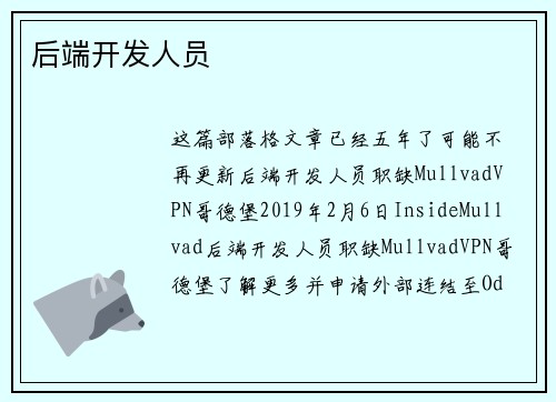 后端开发人员 